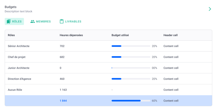 OOTI budget tracking